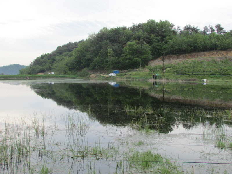 pro_johwang_12124343.jpg