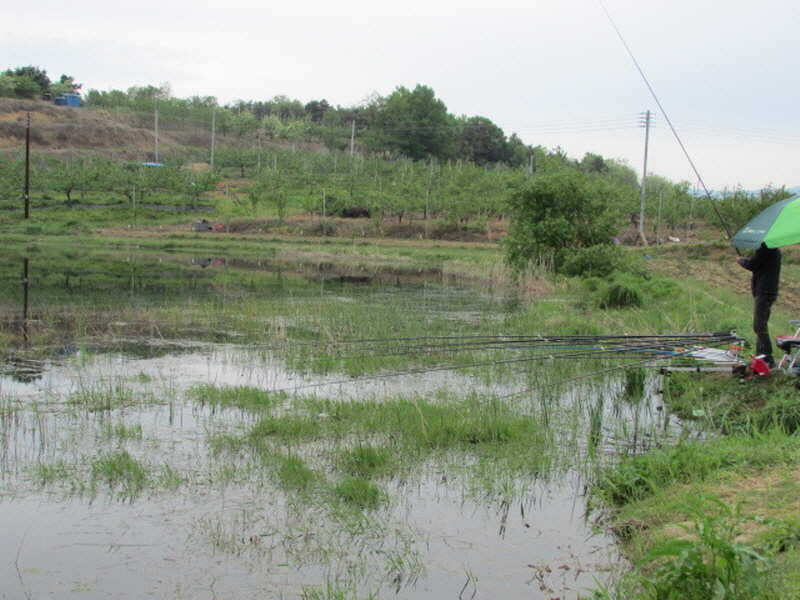 pro_johwang_1212484.jpg
