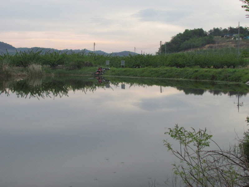 pro_johwang_12160339.jpg
