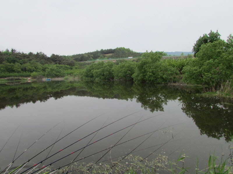 pro_johwang_12162380.jpg