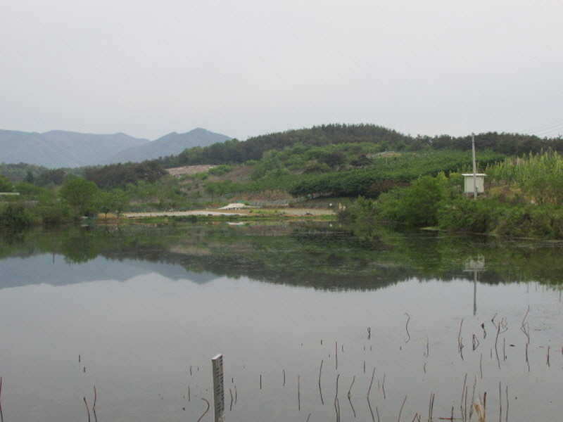 pro_johwang_12180336.jpg