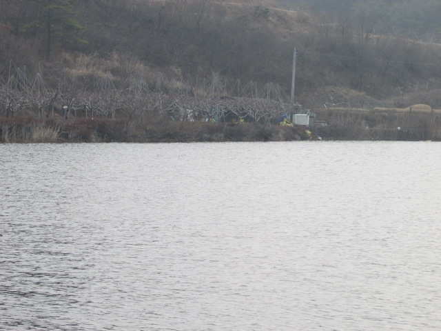 pro_johwang_12180712.jpg