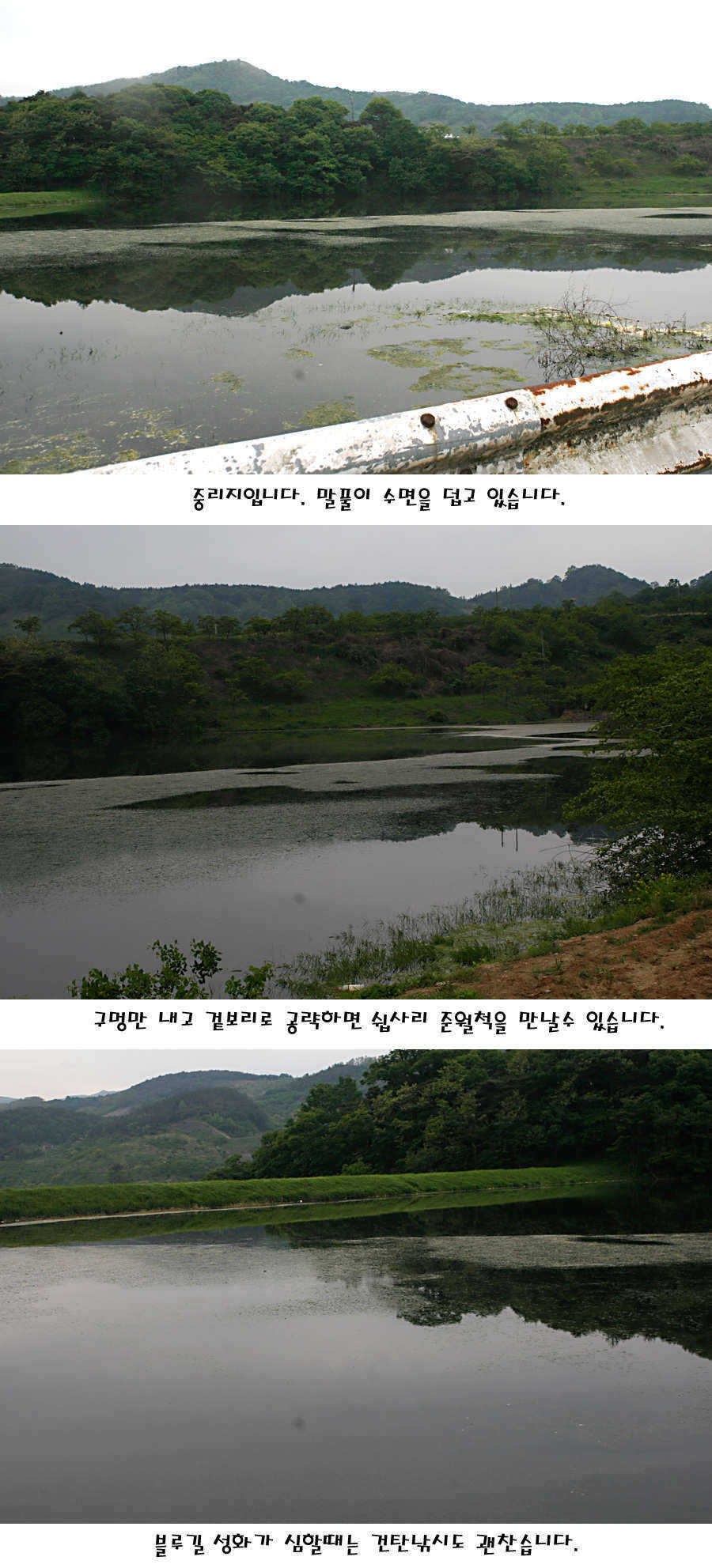 pro_johwang_12195621.jpg