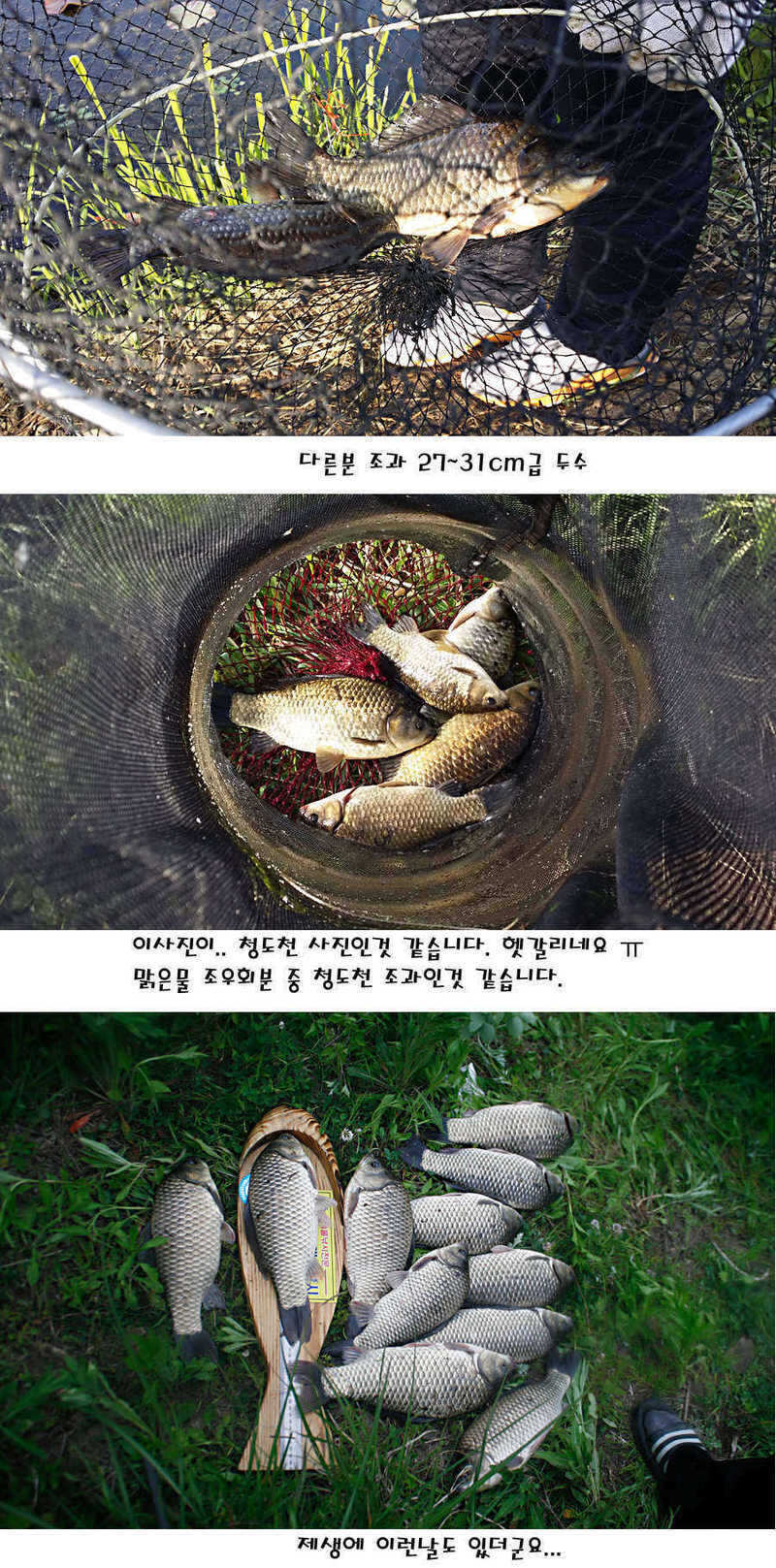 pro_johwang_12205027.jpg
