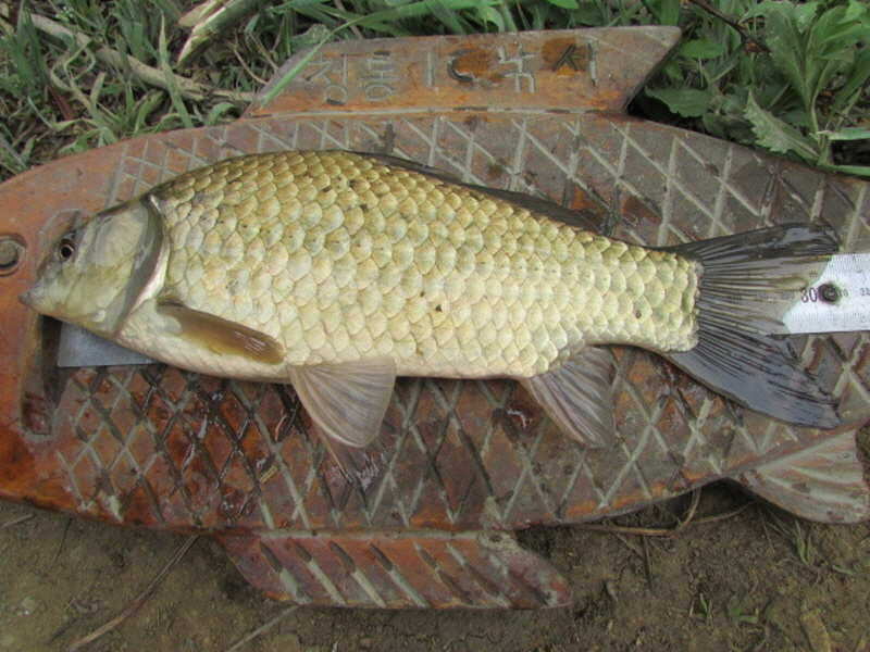 pro_johwang_12205837.jpg