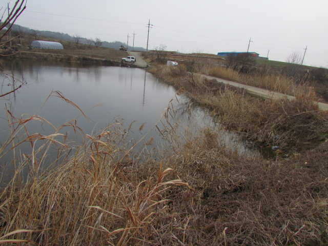 pro_johwang_12230889.jpg