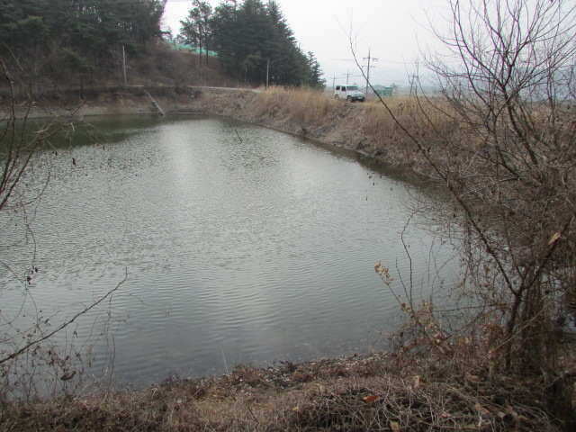 pro_johwang_1226003.jpg