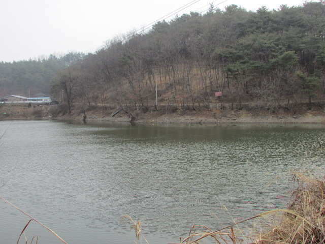 pro_johwang_12260529.jpg