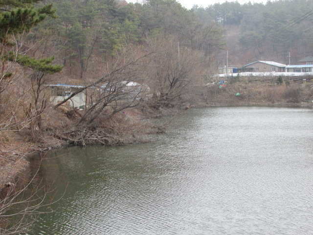 pro_johwang_12261029.jpg