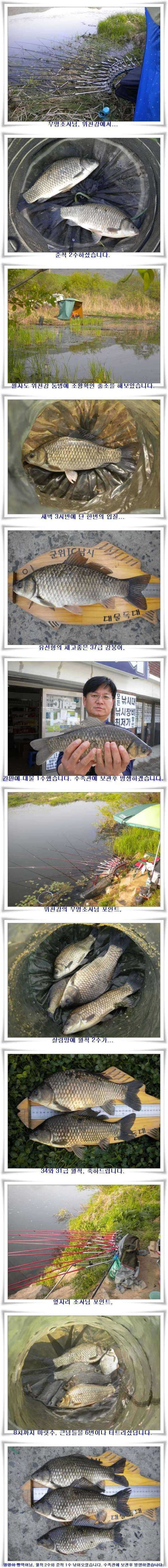 pro_johwang_12391940.jpg