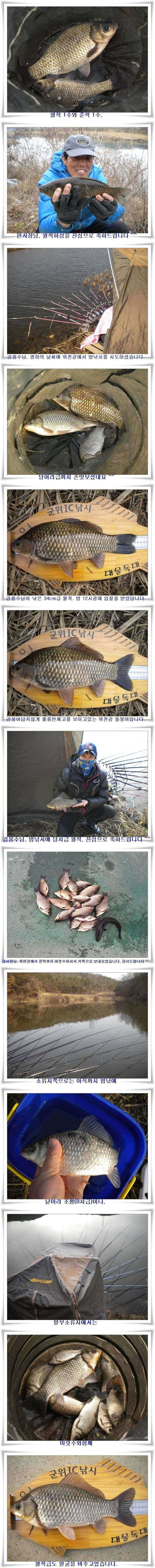 pro_johwang_12563276.jpg