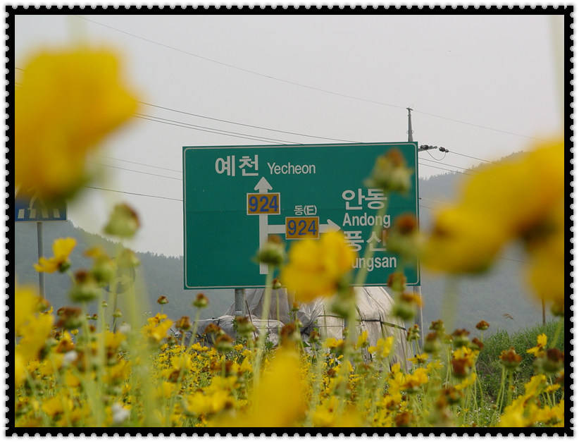 86.jpg