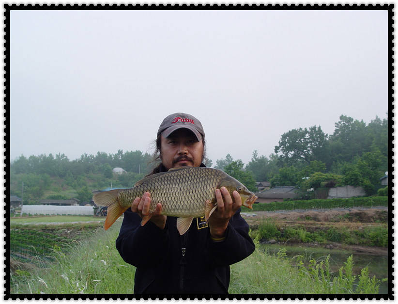 DSC07475.jpg