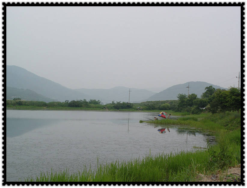 DSC07493.jpg