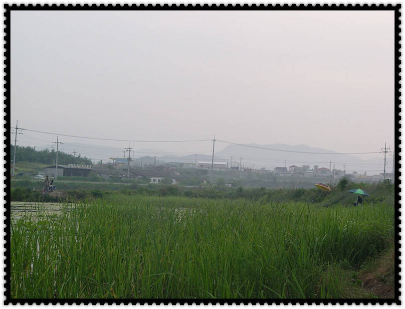 DSC07538.jpg