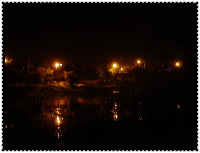DSC07552.jpg