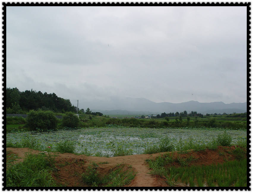 DSC07586.jpg