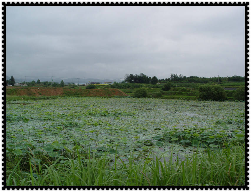 DSC07588.jpg