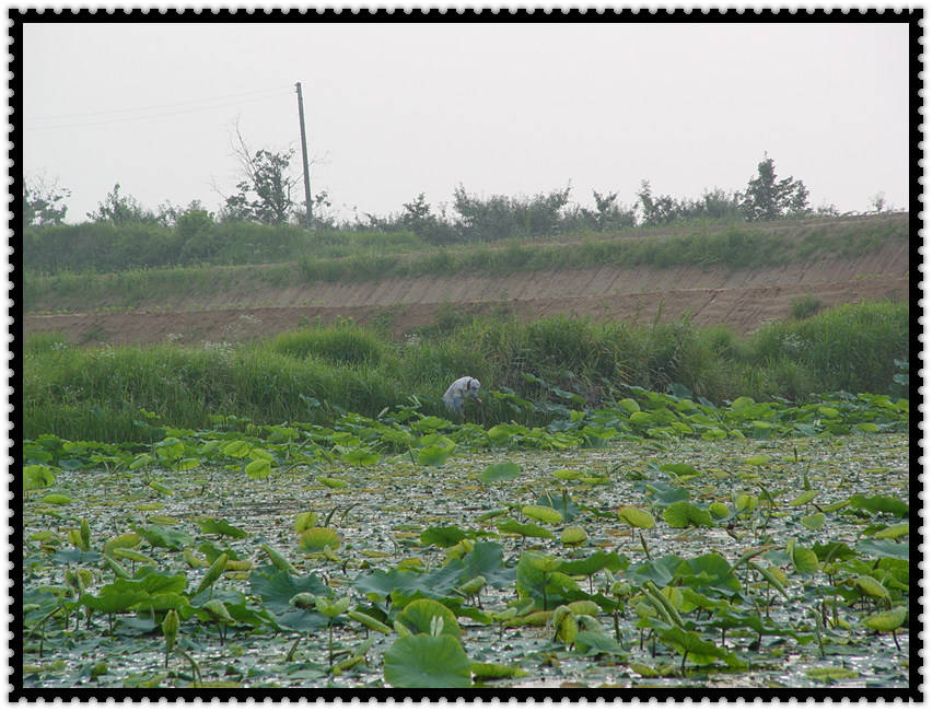 DSC07606.jpg