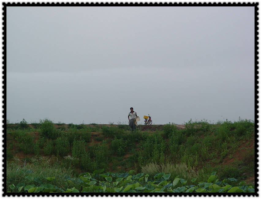 DSC07617.jpg