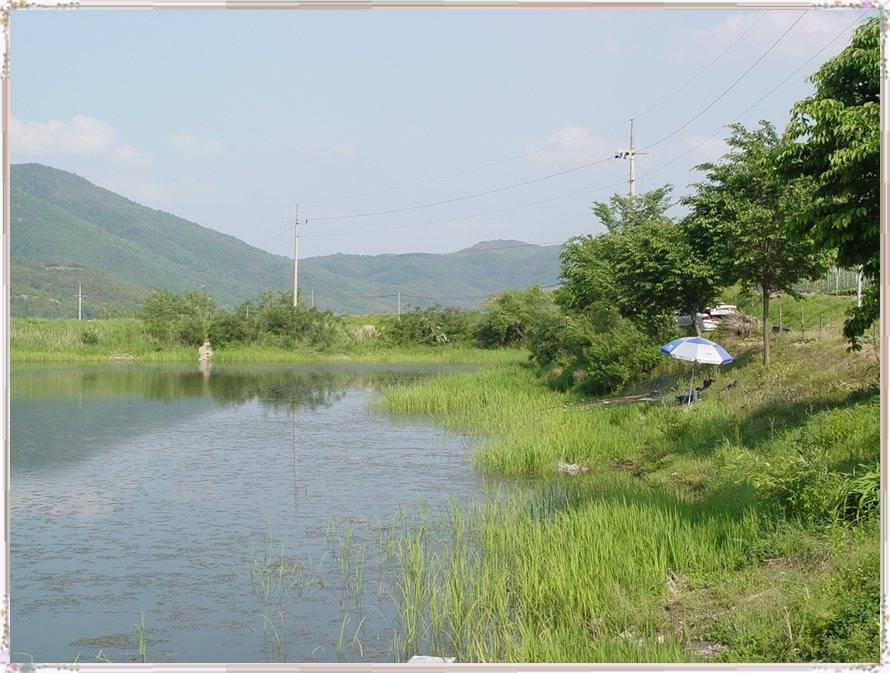 DSC09110.jpg
