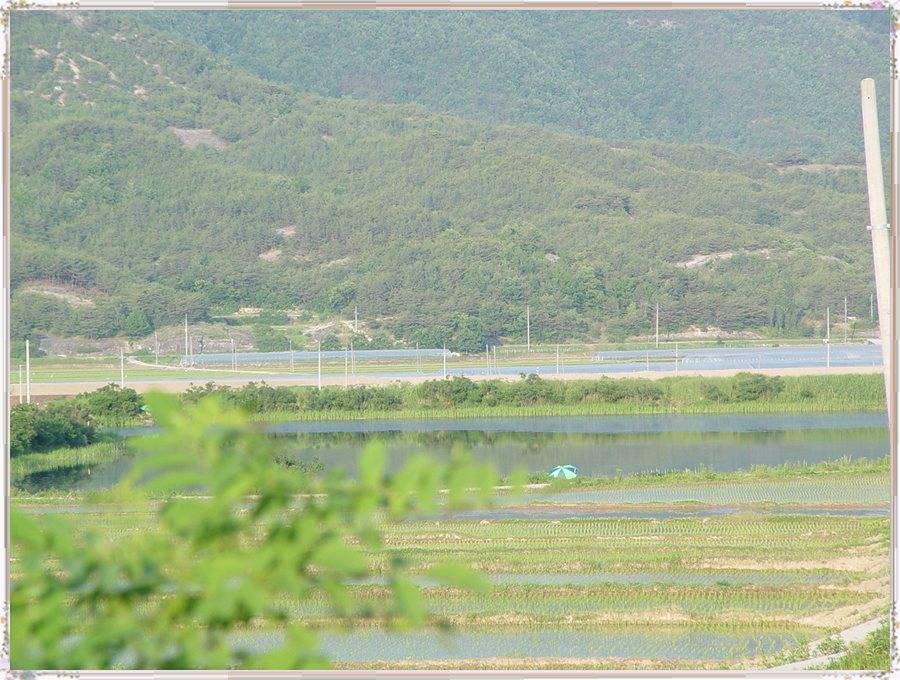 DSC09135.jpg