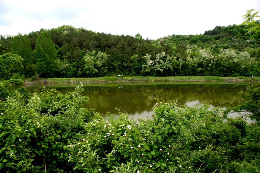 07052218.jpg
