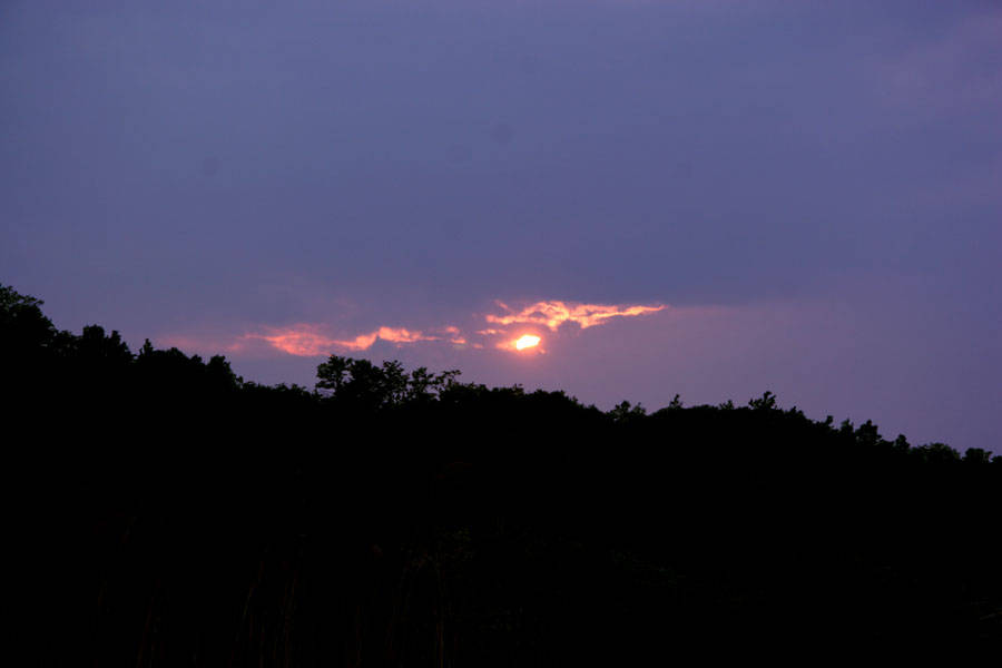 07052241.jpg