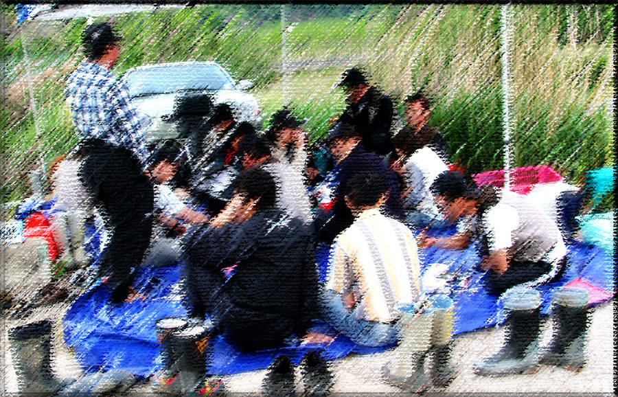 07052243.jpg