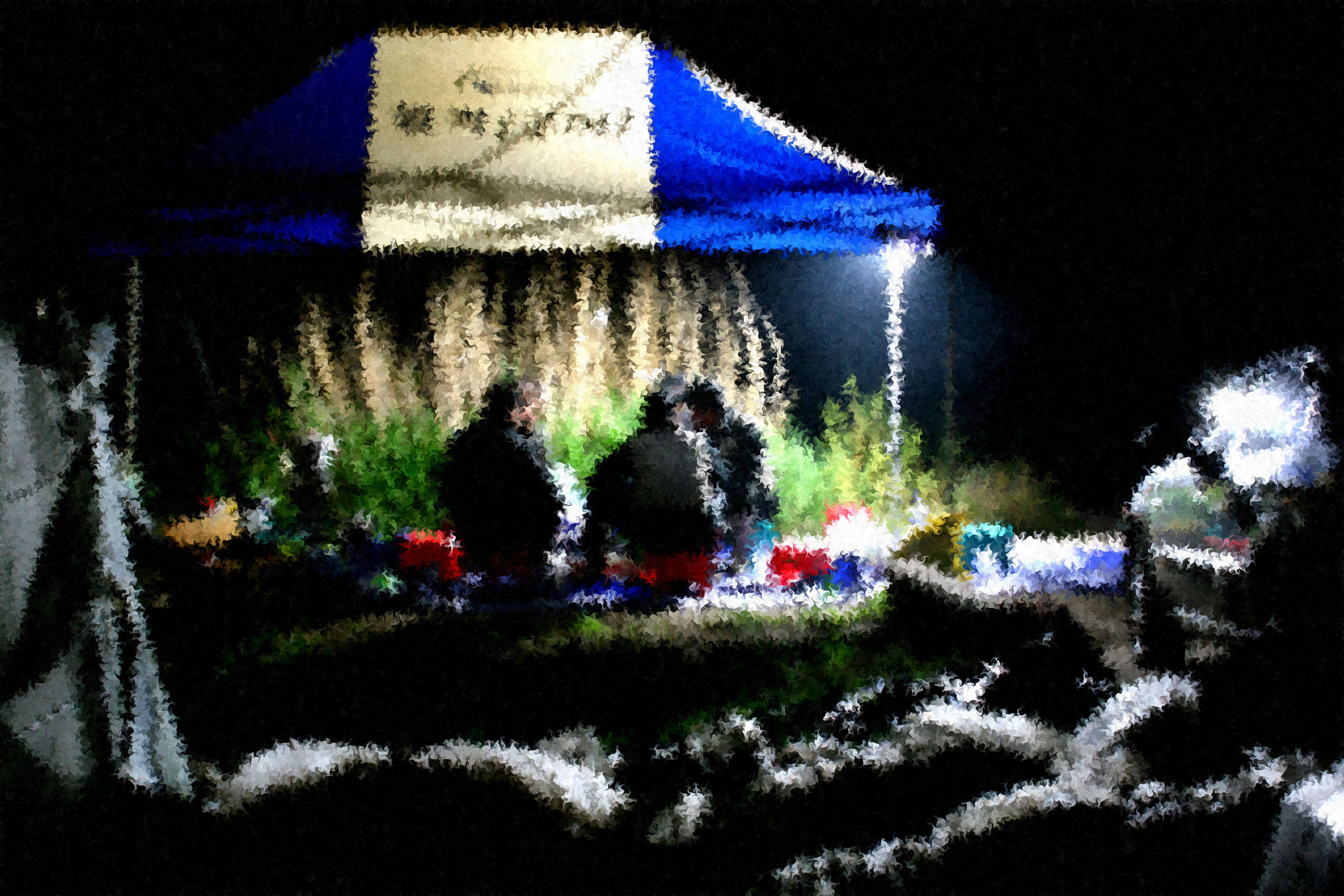 07052248.jpg
