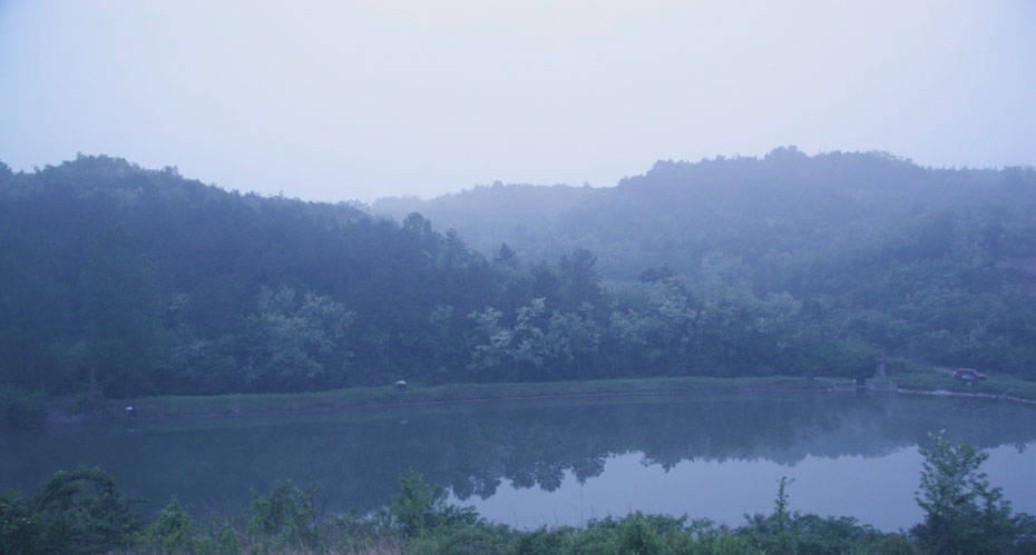 07052249.jpg