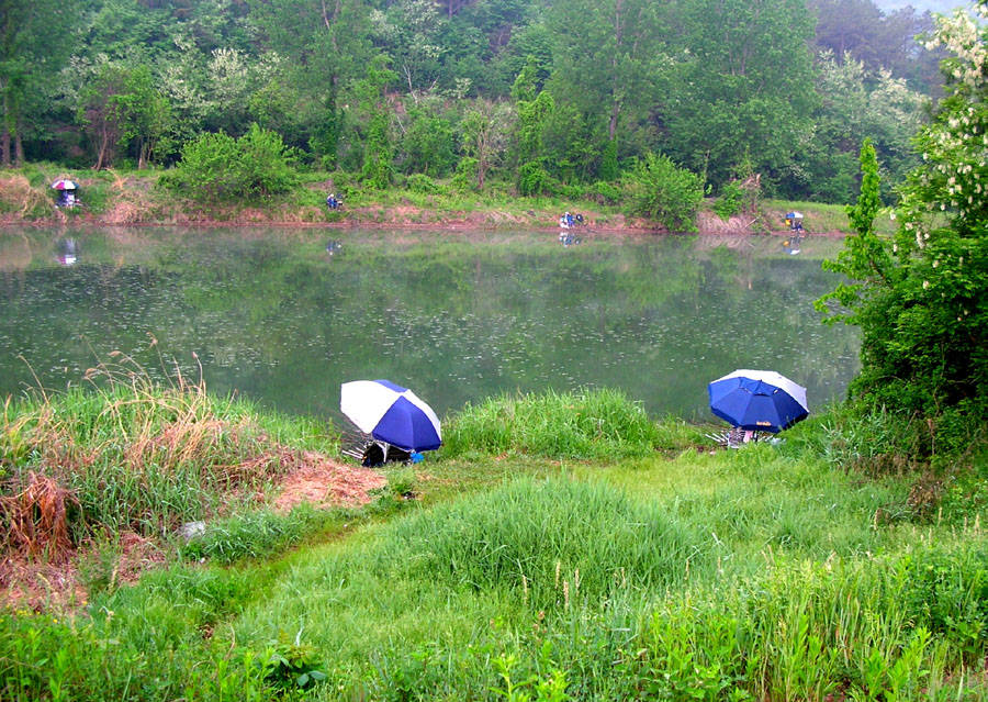 07052252.jpg