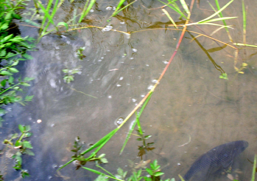 07052272.jpg