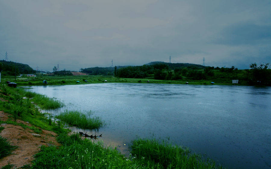 07070310.jpg