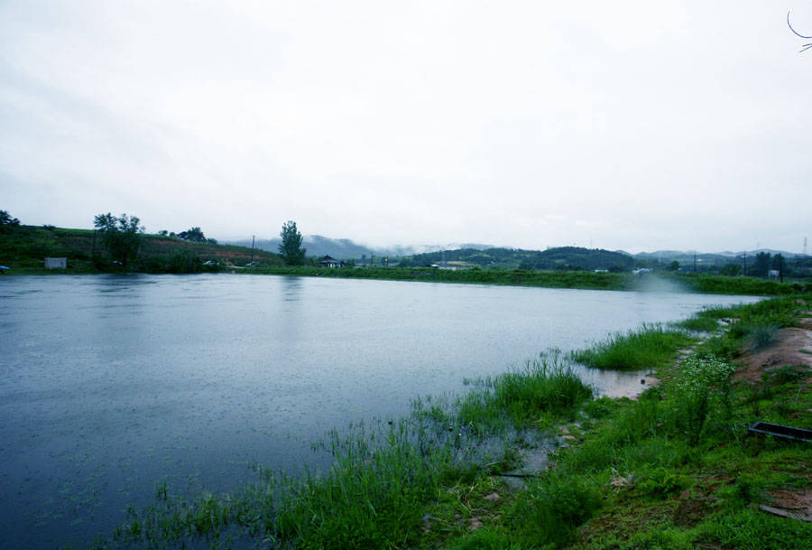 07070311.jpg