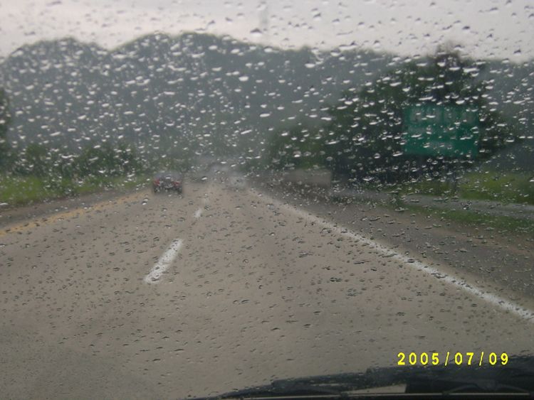 S4200356.jpg