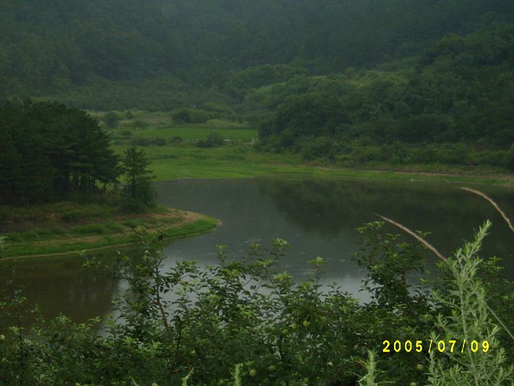 S4200358.jpg