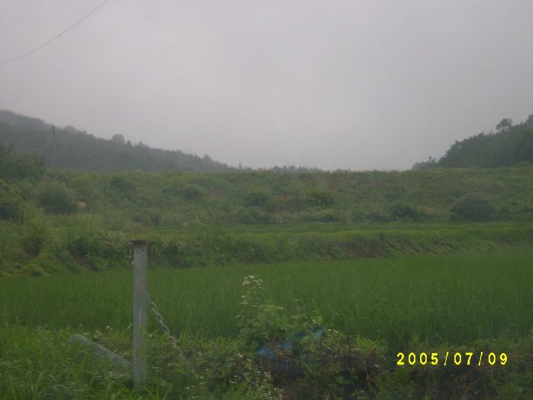 S4200360.jpg