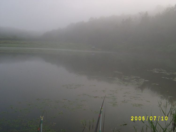 S4200365.jpg