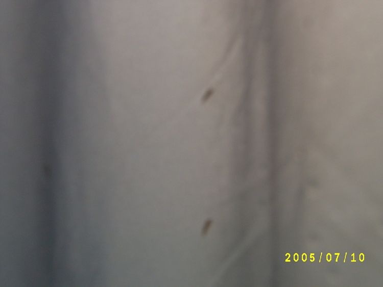 S4200367.jpg