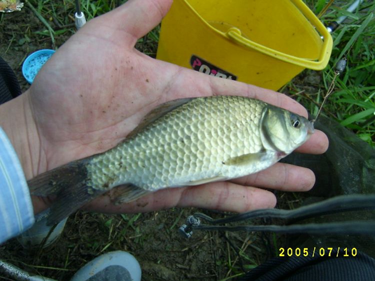 S4200368.jpg