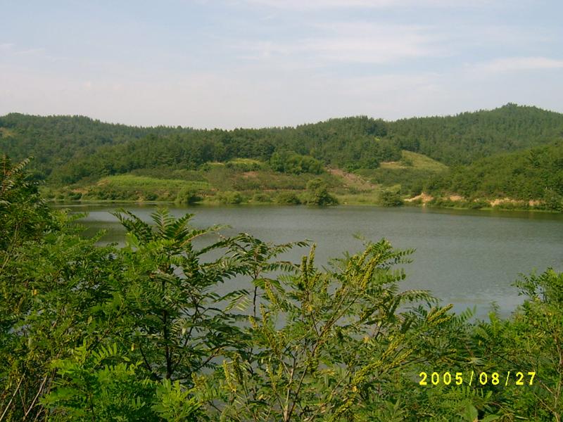 S4200228.jpg