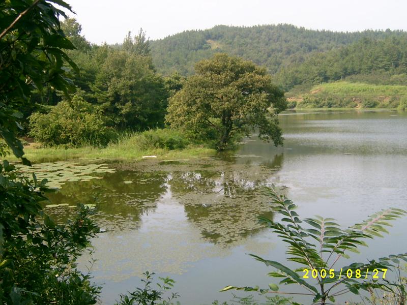 S4200229.jpg