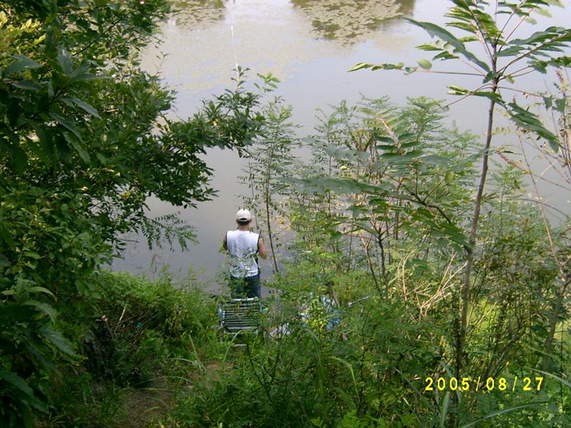 S4200230.jpg