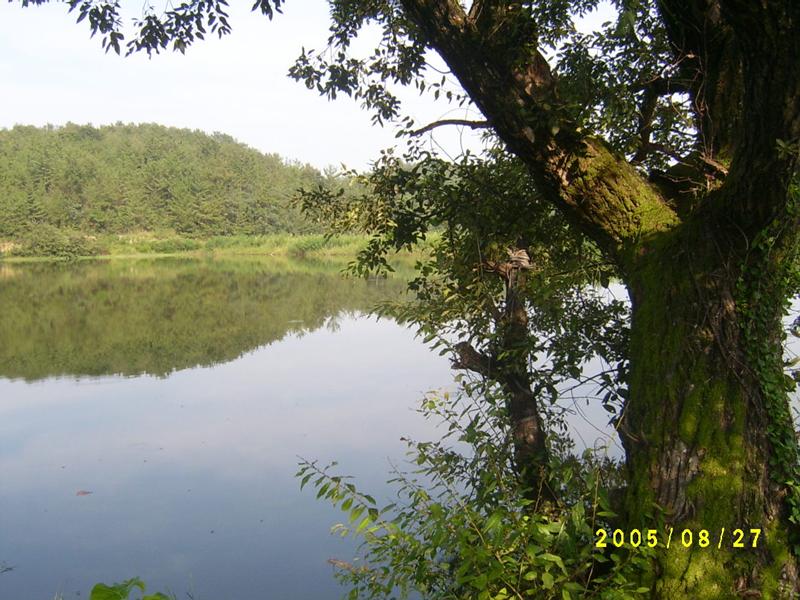 S4200231.jpg