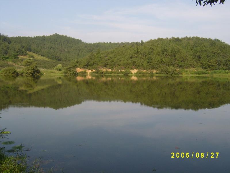 S4200232.jpg