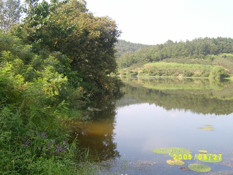 S4200233.jpg