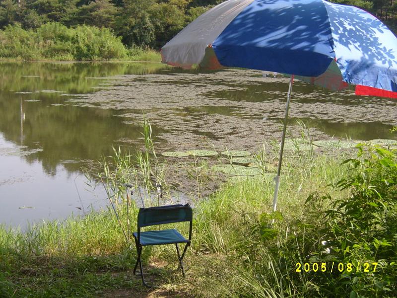 S4200235.jpg