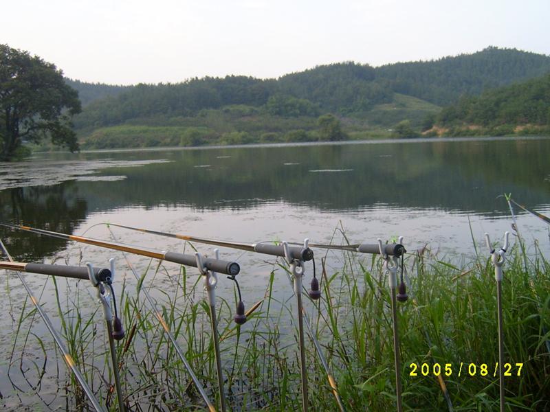 S4200242.jpg