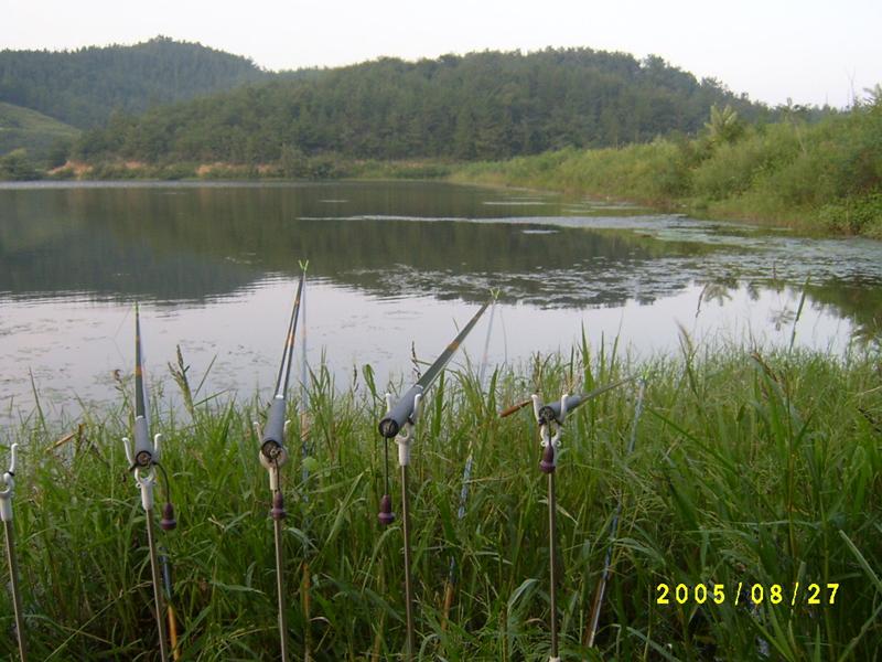 S4200243.jpg